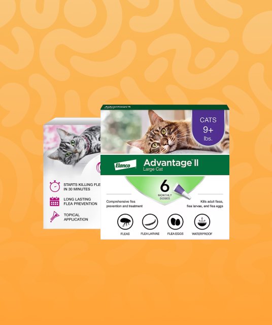 Flea, Tick & Worming