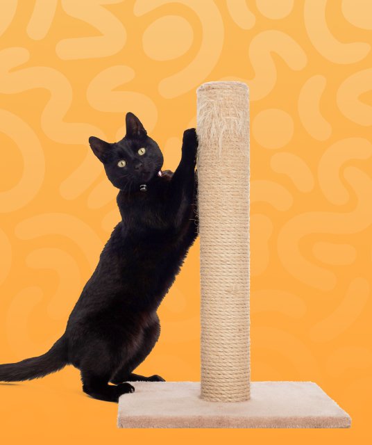 Scratchers