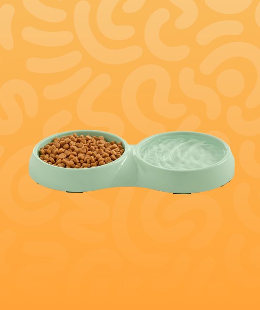 Bowls & Feeders