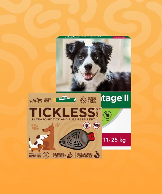 Flea & Tick