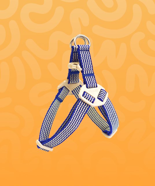 Harnesses