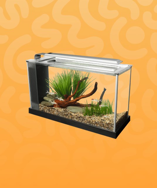 Aquarium