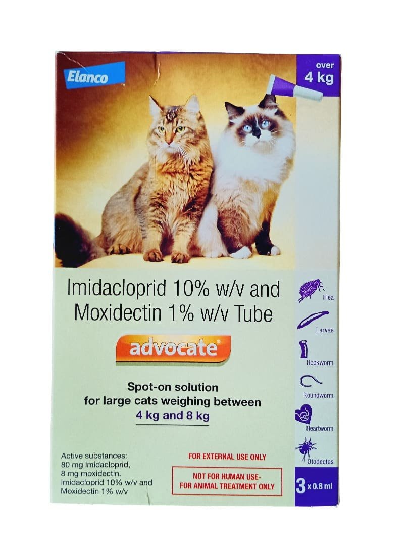Cat-Advocate-moxidectin cat advocate elanco