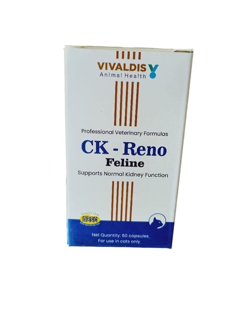 ck reno feline