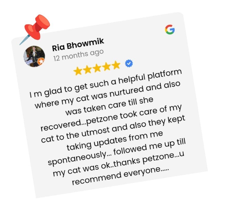 review-ria
