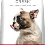 CANINE CREEK PUPPY