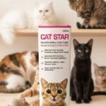 CATSTAR SYRUP 100ML
