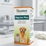 DIGYTON PLUS SYRUP 100ML
