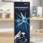 CEREBROBEST SYRUP