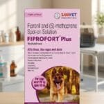 FIPROFORT PLUS DOG