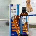IPETTIZER SYRUP 200ML