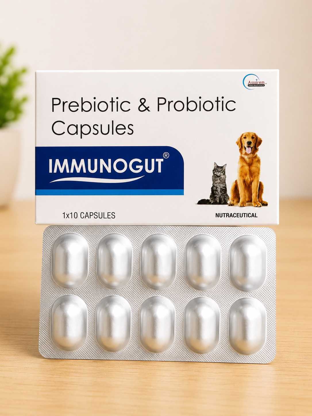 IMG_1783010482873 IMMUNOGUT CAPSULE - Image 1