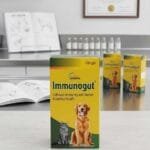 IMMUNOGUT POWDER 100GM
