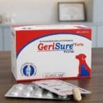 GERISURE FORTE TABLET