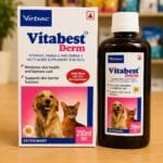 VITABEST DERM