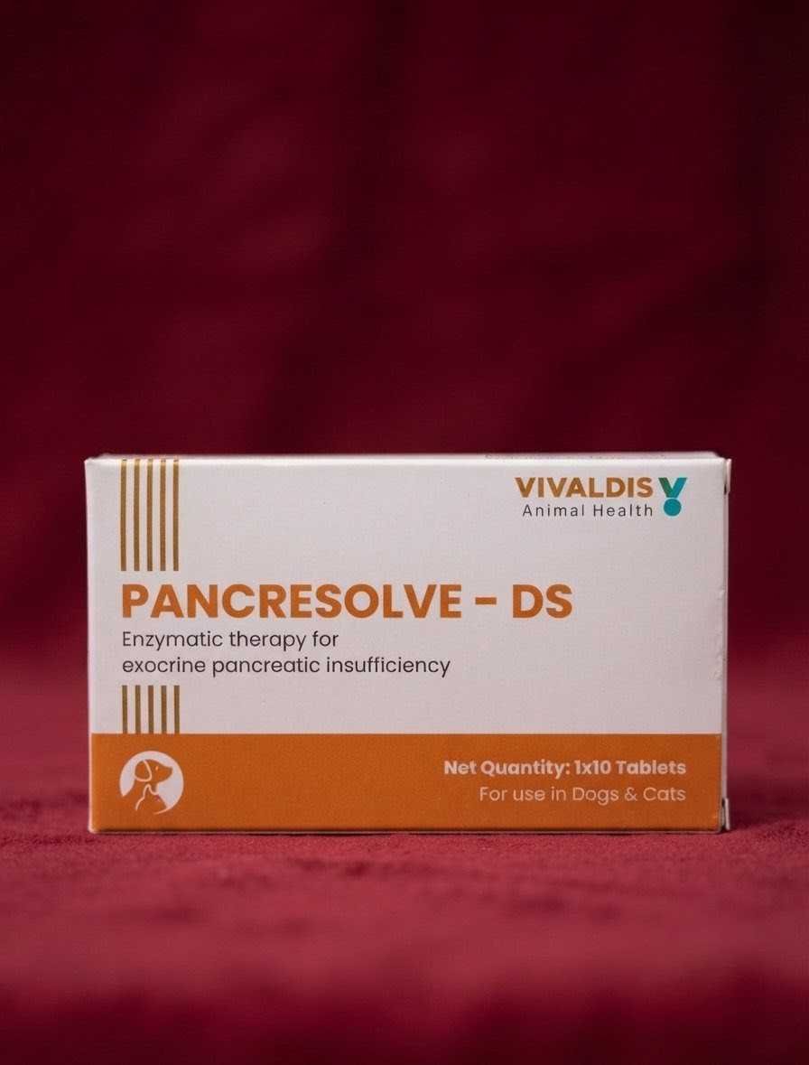 IMG_1783062526570 PANCRESOLVE DS TABLET - Image 1