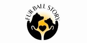 fur ball story