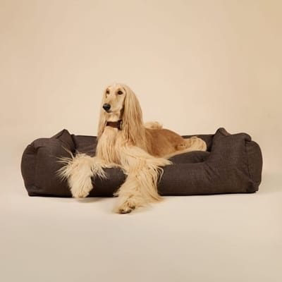 dog-bed dog-bed